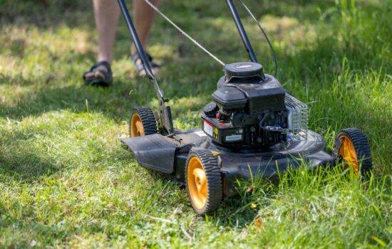 Gartenpflege in 2026 | Gartenpflege in Duisburg & Umgebung