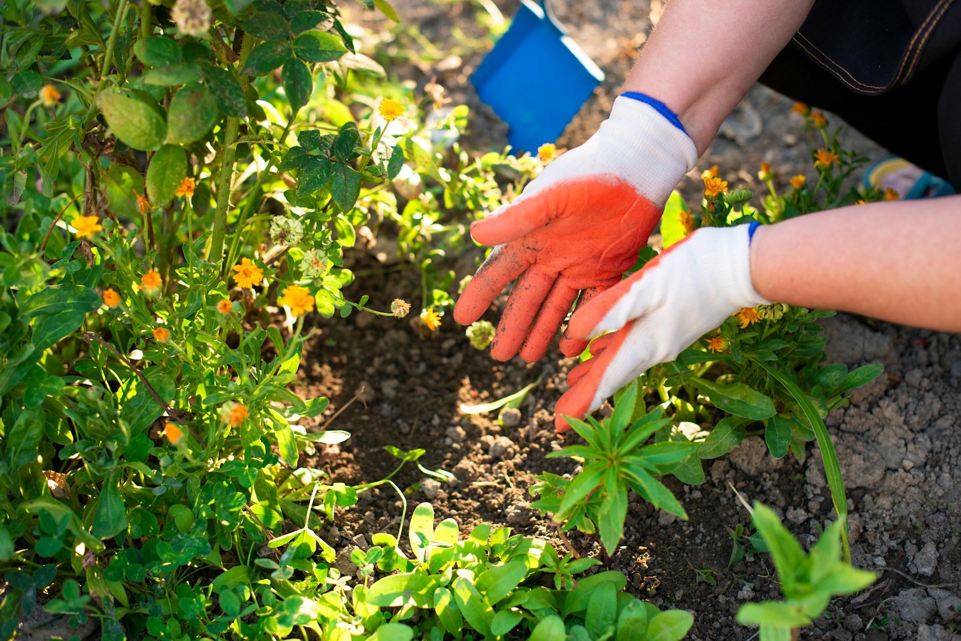 Für wen unser Gartenservice gedacht ist